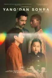 Yang'dan Sonra