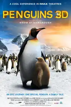 Penguen Kral
